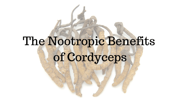 The Nootropic Benefits of Cordyceps